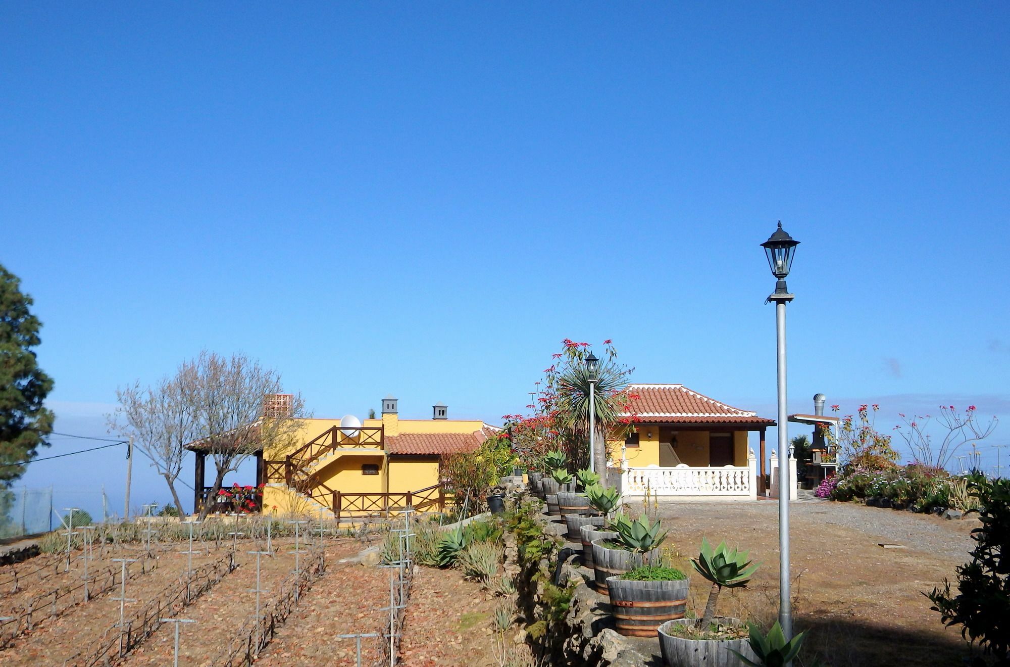 Villa El Lagar Icod De Los Vinos Esterno foto